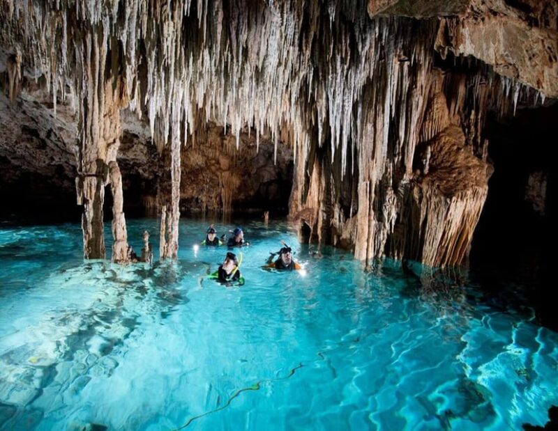 Puerto Morelo: Cenote Diving - Experience Description