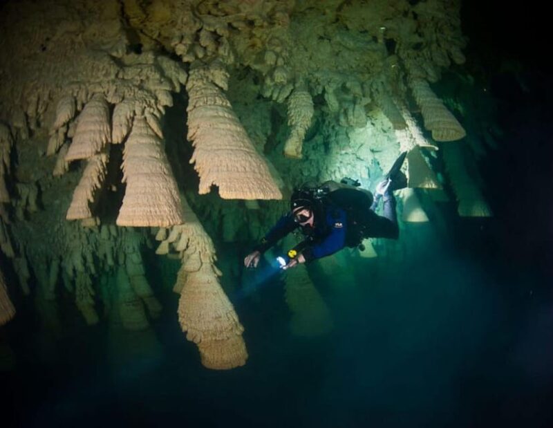 Puerto Morelo: Cenote Diving - Frequently Asked Questions