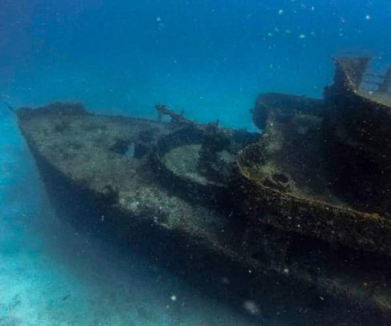 Puerto Morelos: C-56 Shipwreck & Reef Exploration - Key Points
