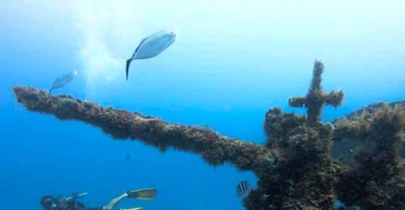 Puerto Morelos: C-56 Shipwreck & Reef Exploration - Included in the Package