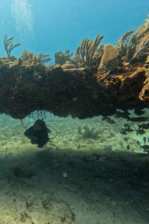 Puerto Morelos: C-56 Shipwreck & Reef Exploration - Transportation and Equipment Rental