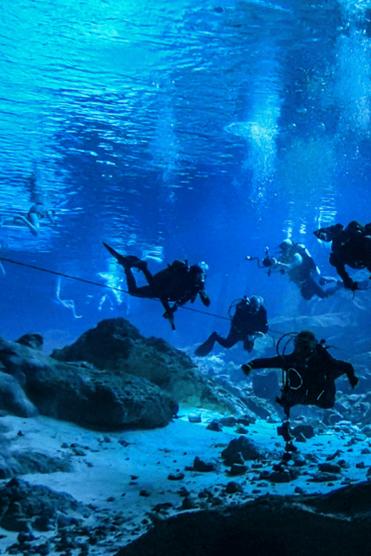 Puerto Morelos: Chaac Mool Cenote Diving - Key Points