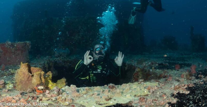 Puerto Morelos: Diving at the C56 Shipwreck - Booking Information