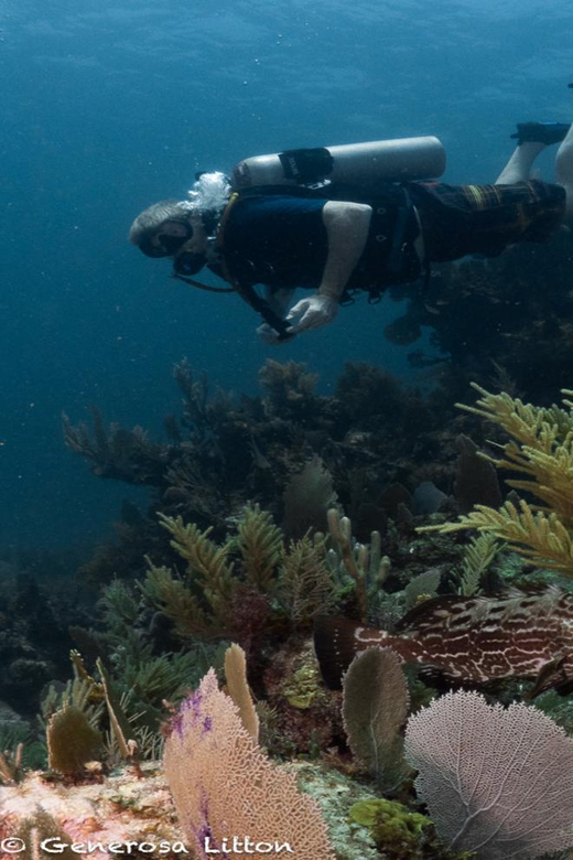 Puerto Morelos: Diving at the C56 Shipwreck - Dive Experience