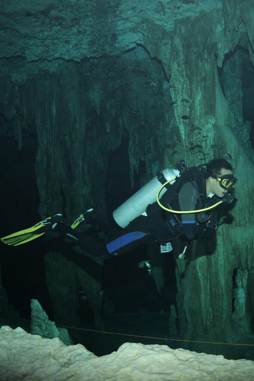 Puerto Morelos: Diving With Bullsharks - Key Points