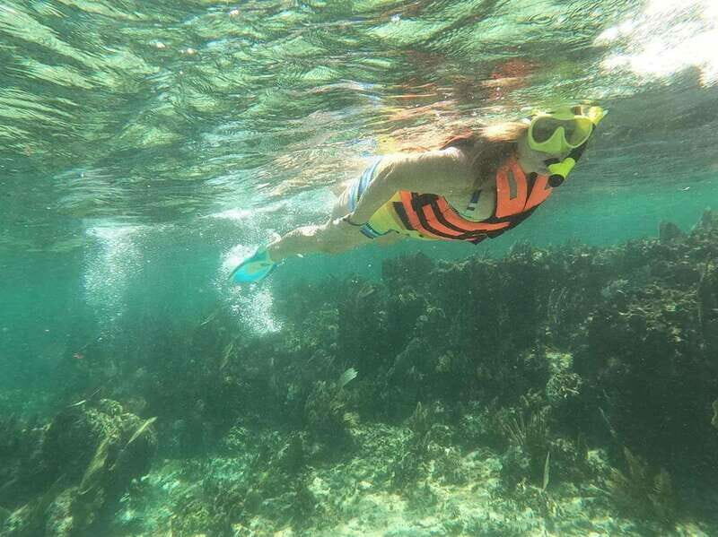 Puerto Morelos: Guided Snorkeling Tour with Gear & Fees - Why This Tour Offers Great Value