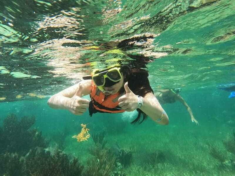 Puerto Morelos: Guided Snorkeling Tour with Gear & Fees - The Sum Up