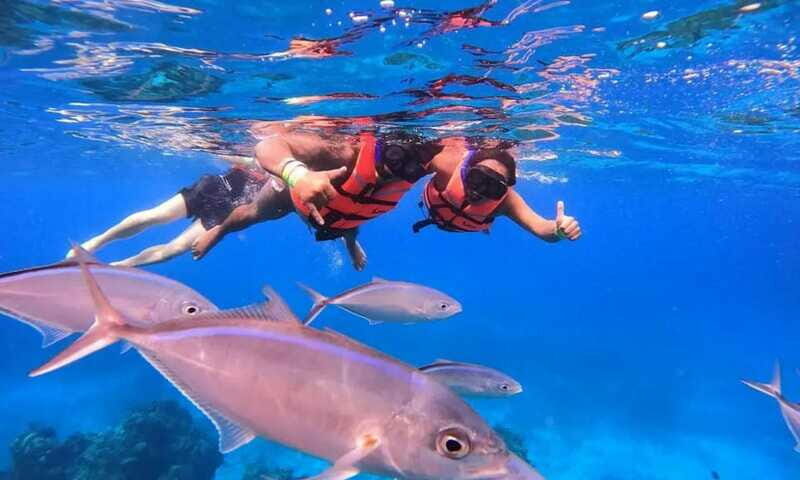 Puerto Morelos: Guided Snorkeling Tour with Gear & Fees - FAQ