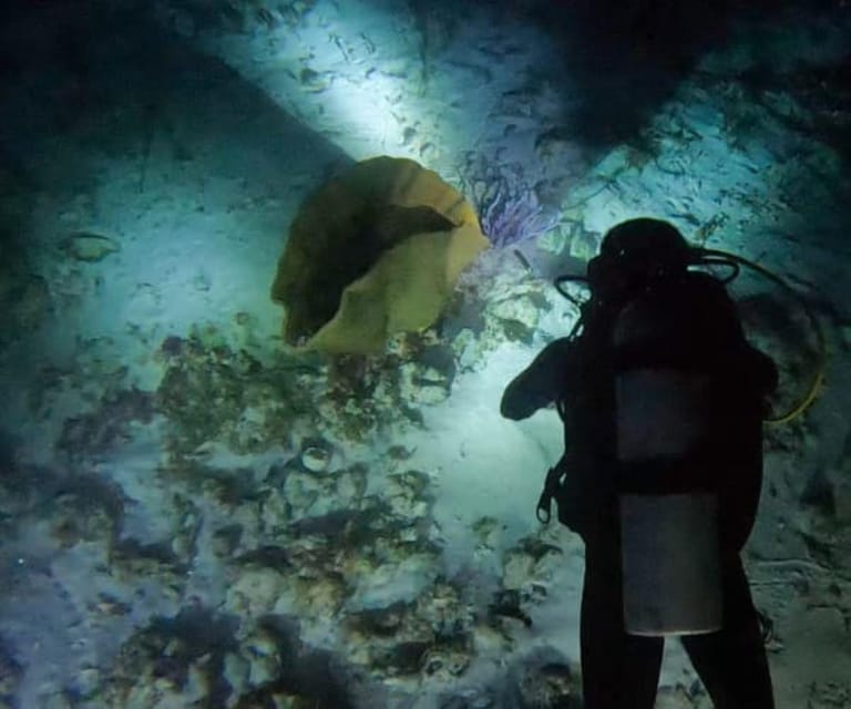 Puerto Morelos: Night Dive at Ojo De Agua Reef - Key Points