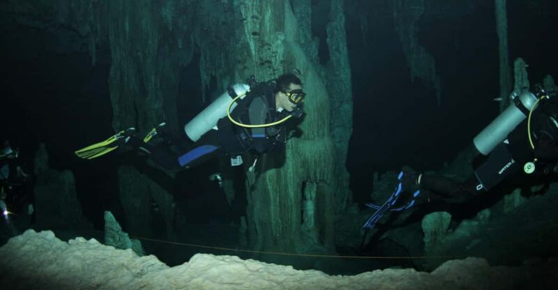 Puerto Morelos: Reef Diving - Key Points