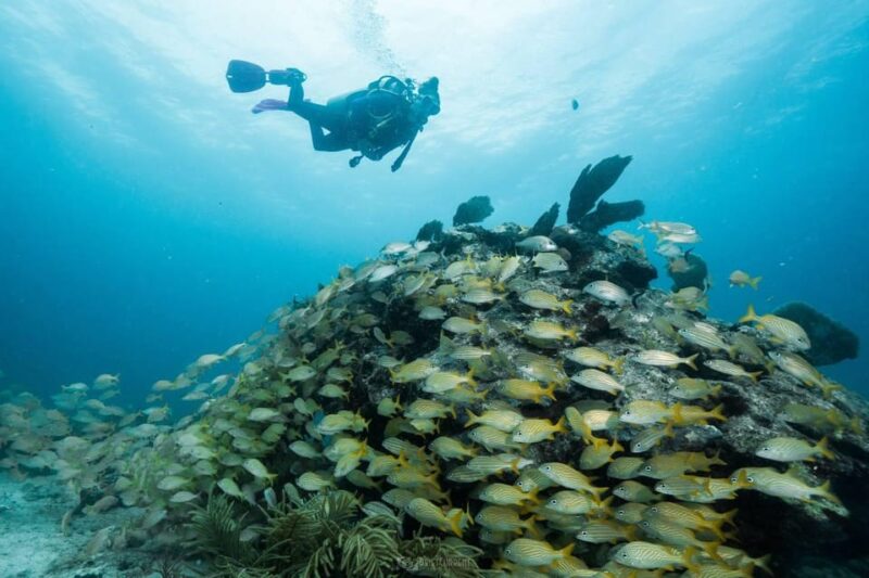 Puerto Morelos: Reef Diving - Location and Duration