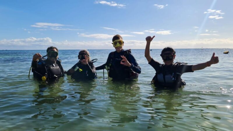 Puerto Morelos: Reef Diving - Reef Exploration and History