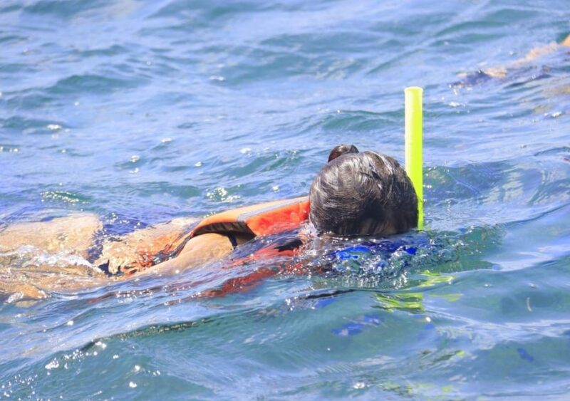 Puerto Morelos: Reef Snorkeling Adventure With Transport - Included Snacks and Activities