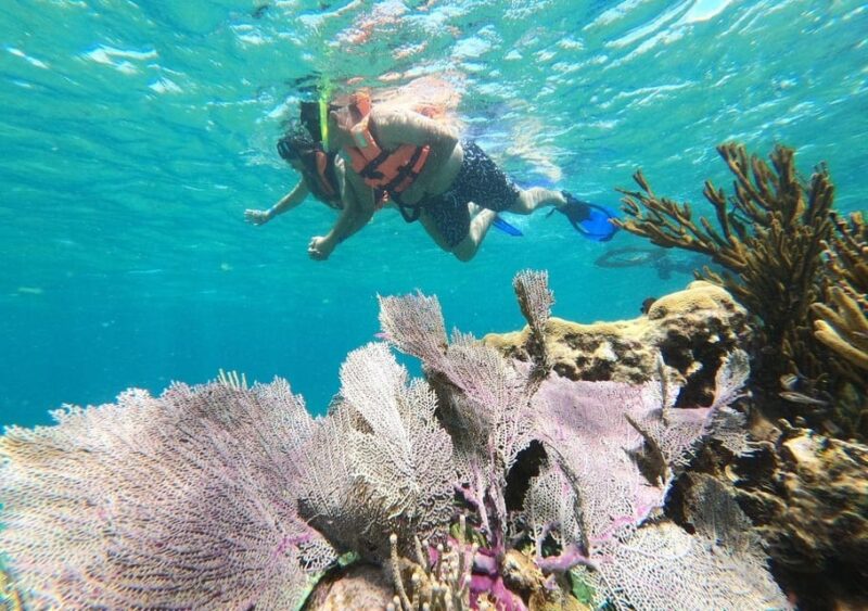 Puerto Morelos: Reef Snorkeling Adventure With Transport - Cancellation and Refund Policy