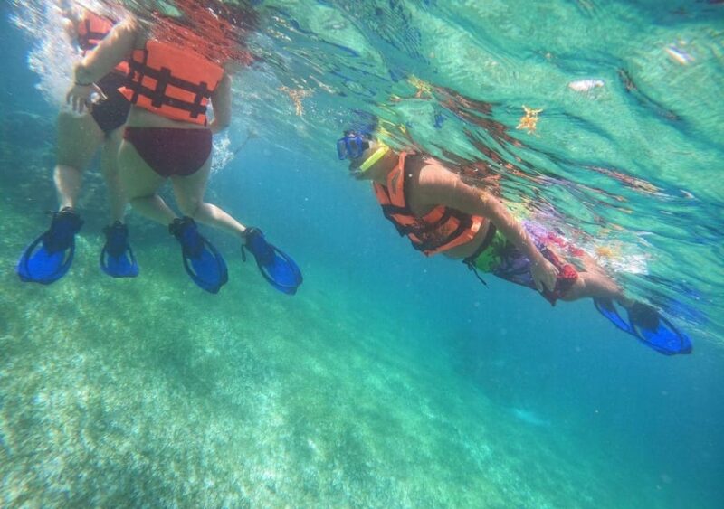 Puerto Morelos: Reef Snorkeling Adventure With Transport - Transportation and Meeting Details