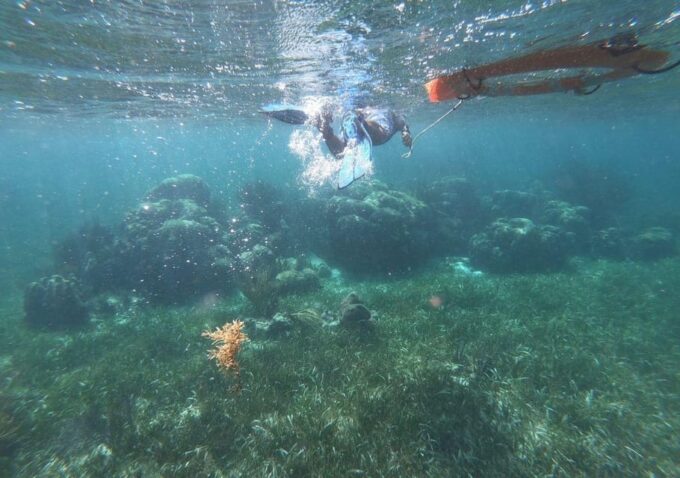 Puerto Morelos: Reef Snorkeling Adventure With Transport - Certified Bilingual Guide Services