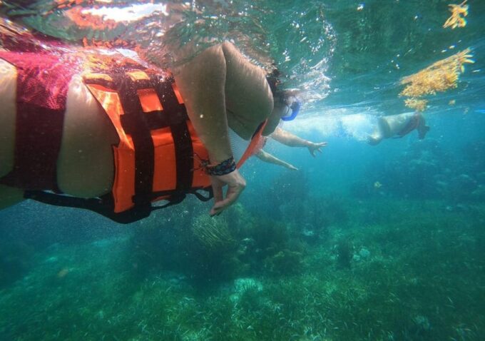 Puerto Morelos: Reef Snorkeling Adventure With Transport - Exploring Puerto Morelos Village