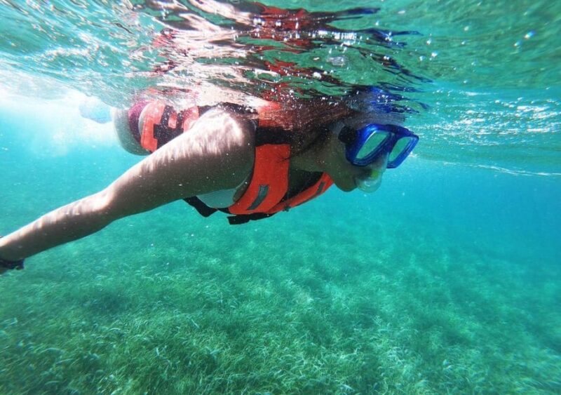 Puerto Morelos: Reef Snorkeling Tour, Snack and Transport - Key Points