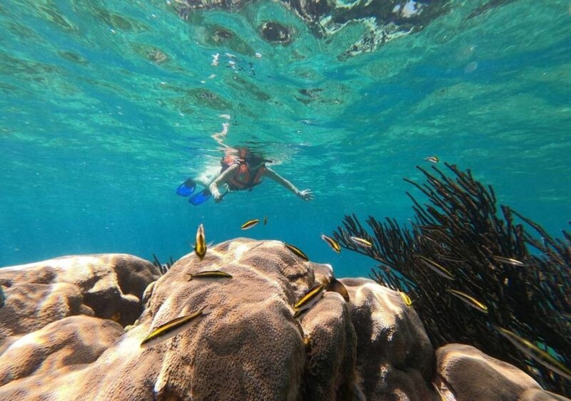 Puerto Morelos: Reef Snorkeling Tour, Snack and Transport - Roundtrip Transportation