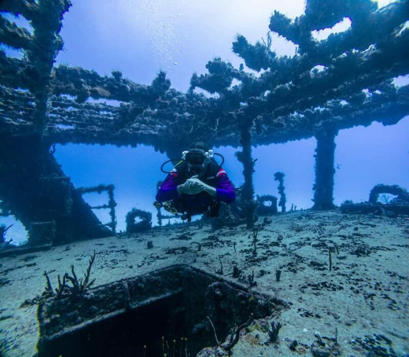 Puerto Morelos: Shipwreck and Reef Diving Tour - Introduction