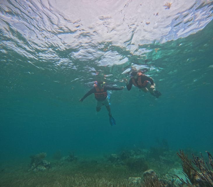 Puerto Morelos: Snorkel and Boat Ride at Puerto Morelos Reef - Included in the Tour