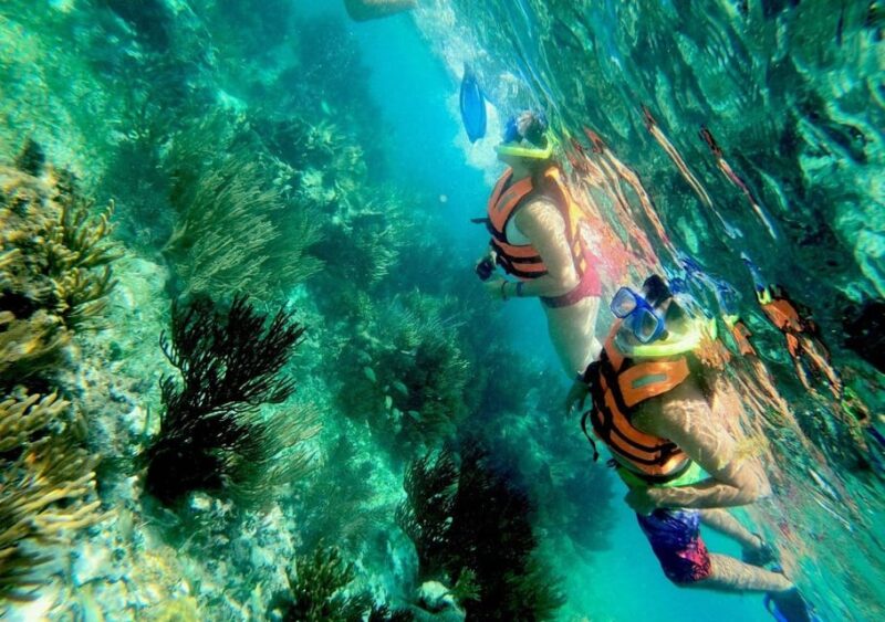 Puerto Morelos: Snorkel in Coral Reef and Visit the Town - Pricing Details