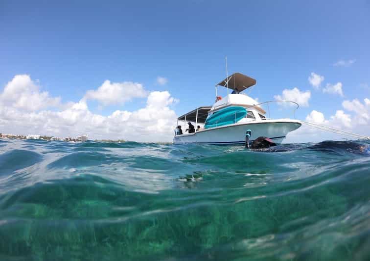 Puerto Morelos: Snorkel in Coral Reef and Visit the Town - Key Points