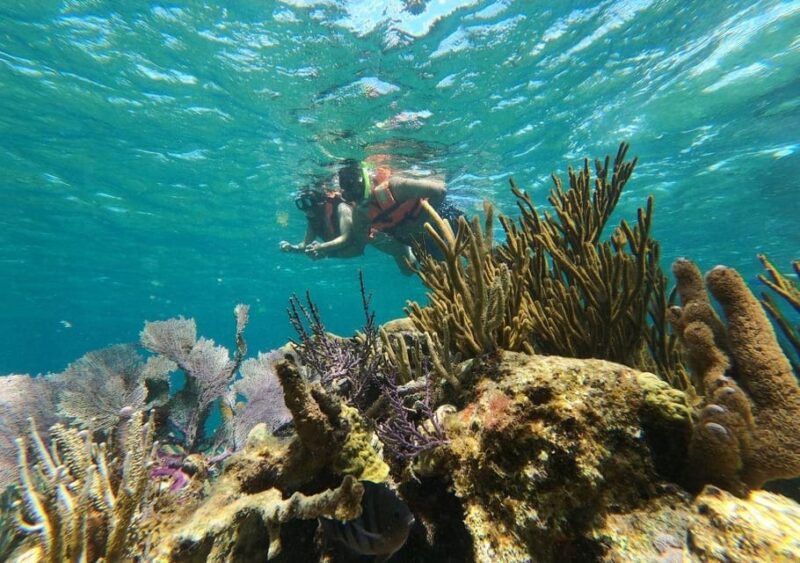 Puerto Morelos: Snorkel in Coral Reef and Visit the Town - Snorkeling Experience