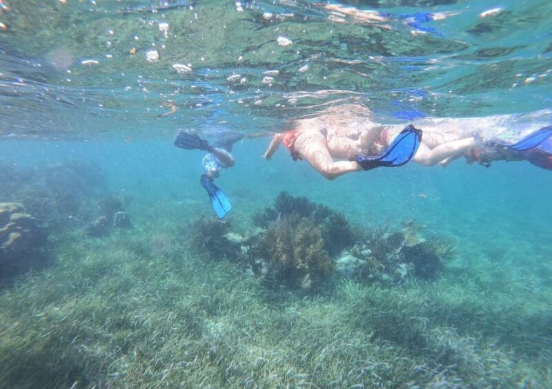 Puerto Morelos: Snorkel in Coral Reef and Visit the Town - Visiting Puerto Morelos