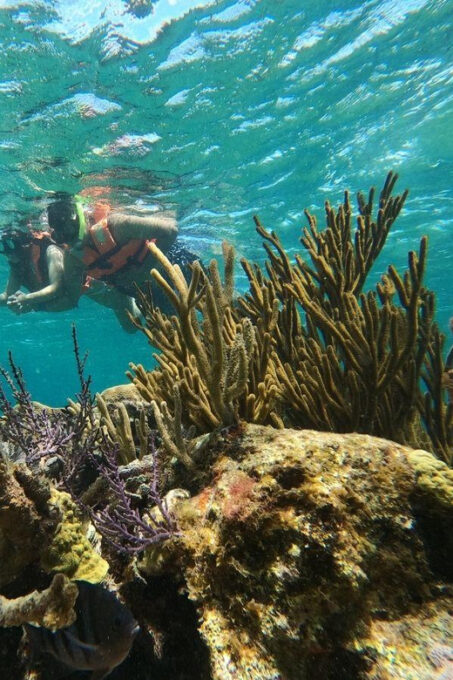 Puerto Morelos: Snorkel in Coral Reef and Visit the Town - Frequently Asked Questions