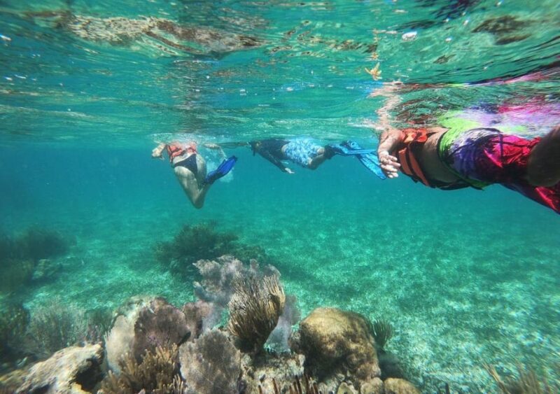 Puerto Morelos: Snorkel in Coral Reef With Transportation - Pricing and Inclusions
