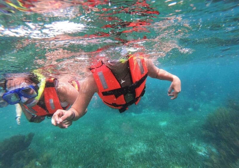 Puerto Morelos: Snorkel in Coral Reef With Transportation - Booking and Reservations