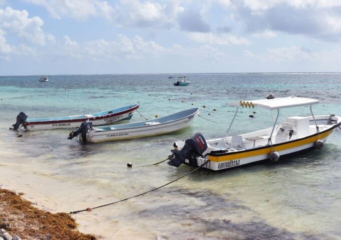 Puerto Morelos: Snorkel in Coral Reef With Transportation - Marine Life and Guides