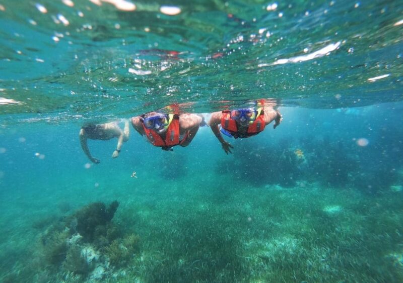Puerto Morelos: Snorkel Tour in Reef With Transportation - Key Points