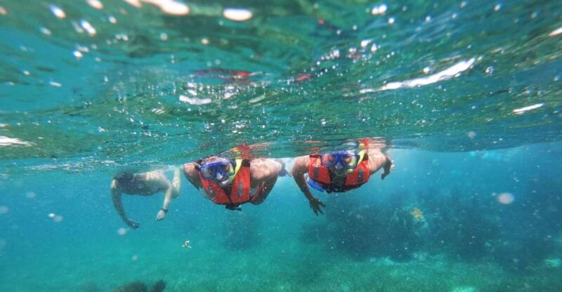 Puerto Morelos: Snorkel Tour in Reef With Transportation - Transportation Included