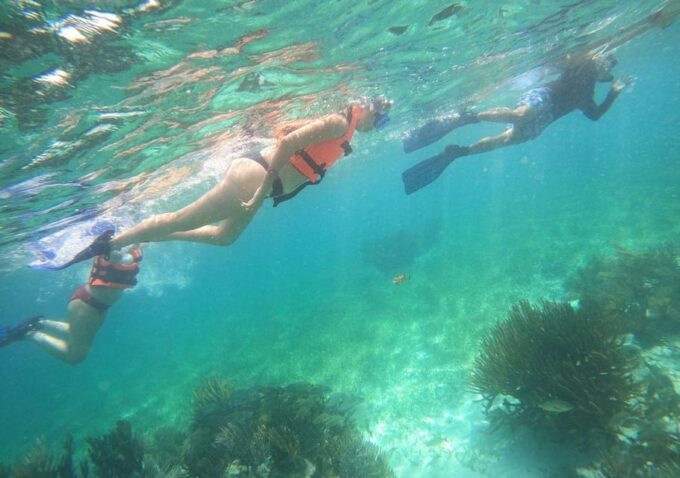Puerto Morelos: Snorkel Tour in Reef With Transportation - Photo Packages Available