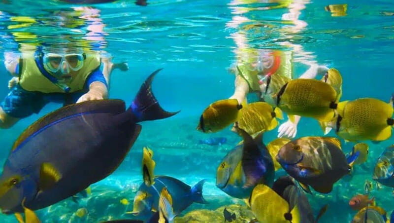 Puerto Morelos: Snorkeling at The National Reef Park - An In-Depth Look at the Snorkeling Tour
