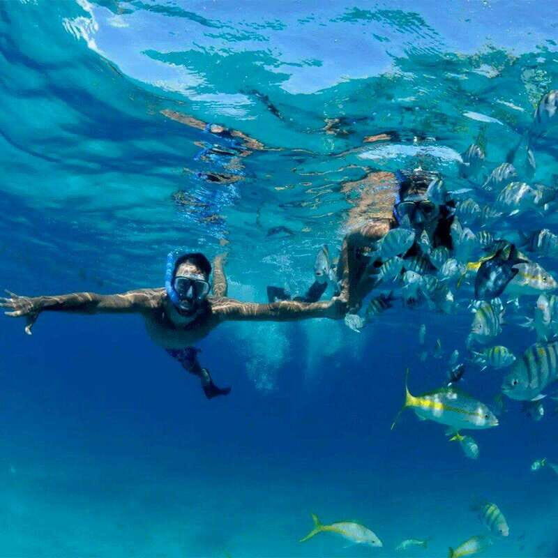 Puerto Morelos: Snorkeling at The National Reef Park - The Itinerary in Detail