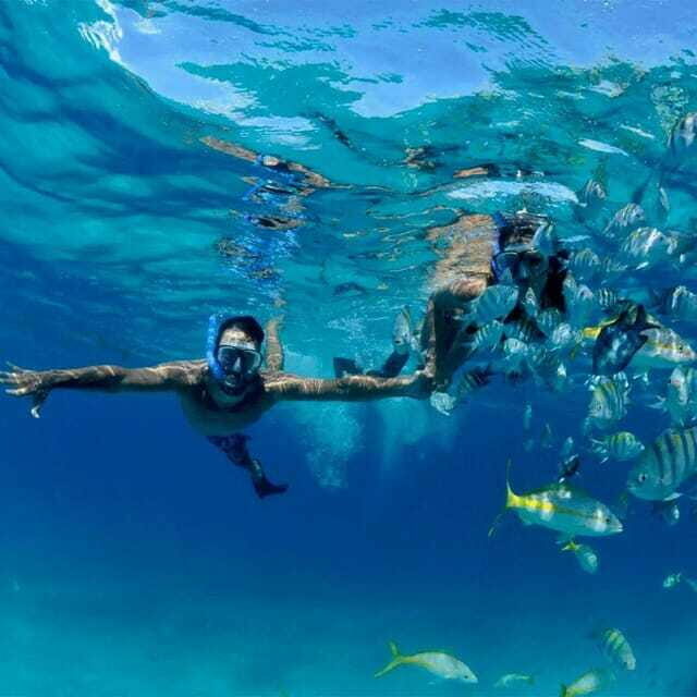 Puerto Morelos: Snorkeling at The National Reef Park - FAQ