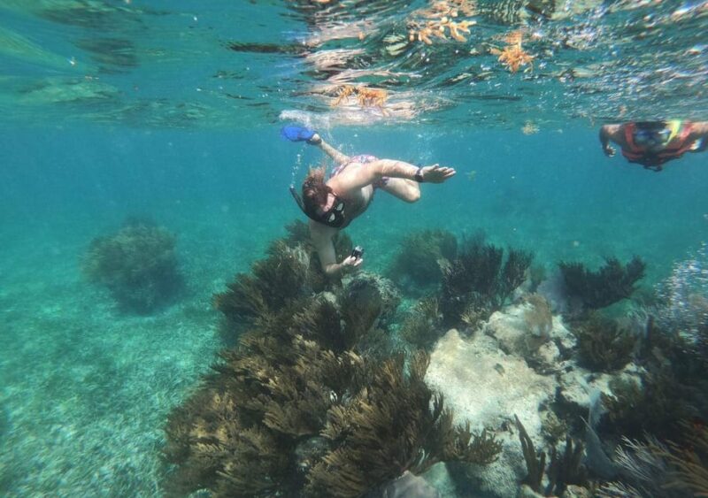 Puerto Morelos: Snorkeling Experience With Snack & Transport - Snorkeling Experience