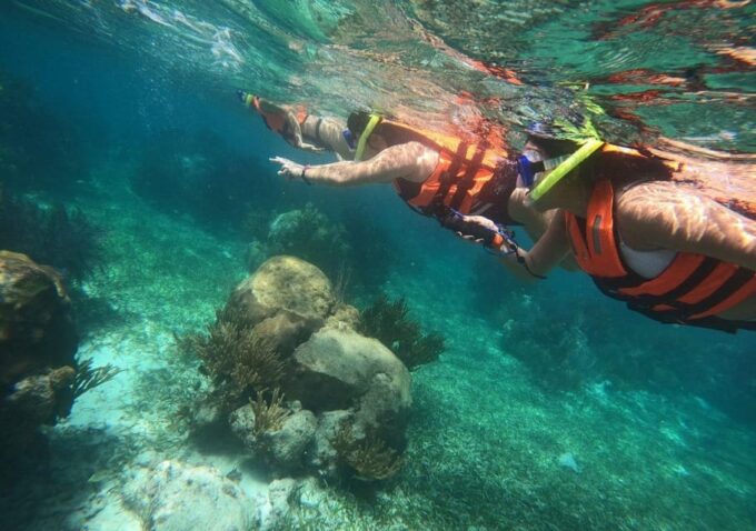 Puerto Morelos: Snorkeling Experience With Snack & Transport - Meeting Points