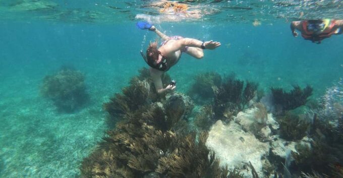 Puerto Morelos: Snorkeling Experience With Snack & Transport - Frequently Asked Questions