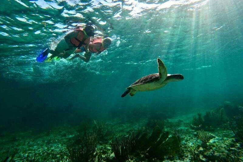 Puerto Morelos: Snorkeling Guided Activity - Key Points