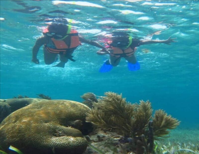Puerto Morelos: Snorkeling Tour - Tour Overview