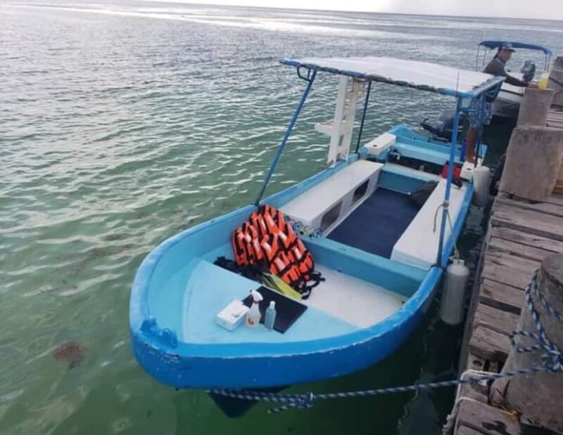Puerto Morelos: Snorkeling Tour - Whats Included