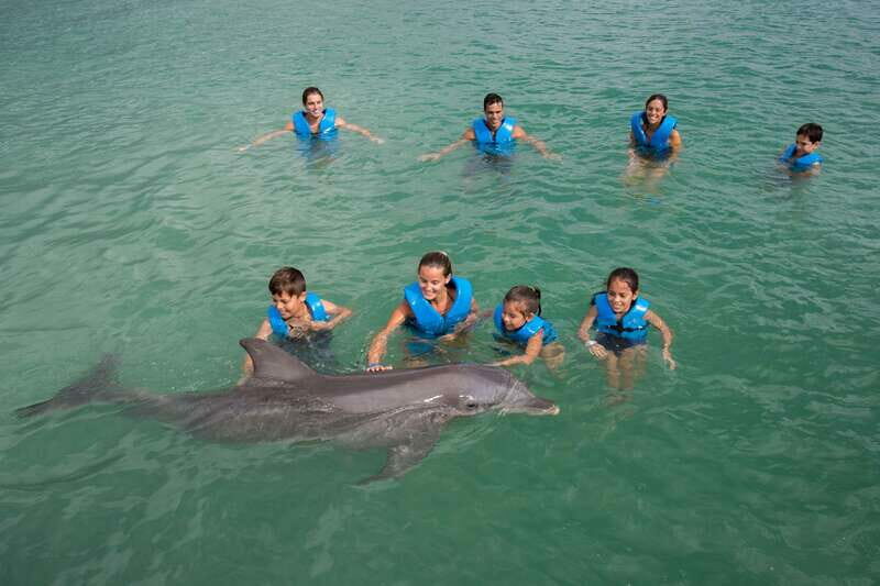 Puerto Morelos: Swim with dolphins Primax - Key Points
