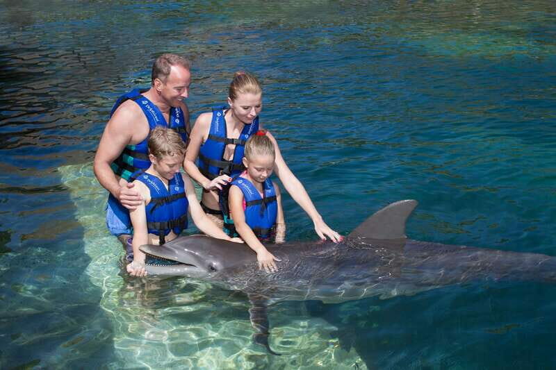 Puerto Morelos: Swim with dolphins Primax - What Makes This Experience Stand Out