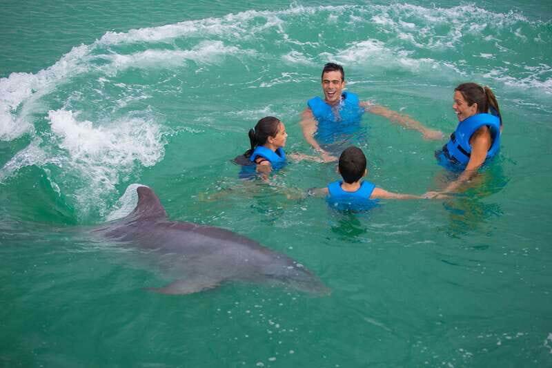 Puerto Morelos: Swim with dolphins Primax - What the Reviews Say