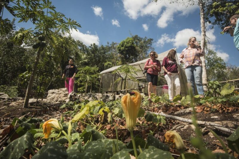 Puerto Morelos: Tasty Mexican Cooking Class & Feast in Riv - Cancellation Policy