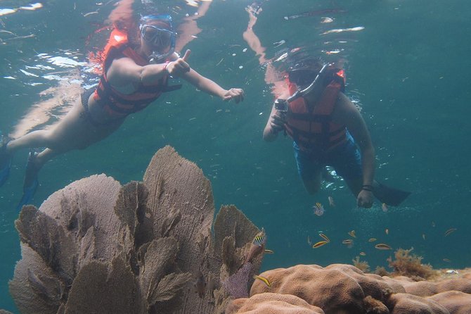Puerto Morelos Two Reefs Snorkeling Tour - Detailed Itinerary